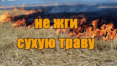 НЕ ЖГИ СУХУЮ ТРАВУ.