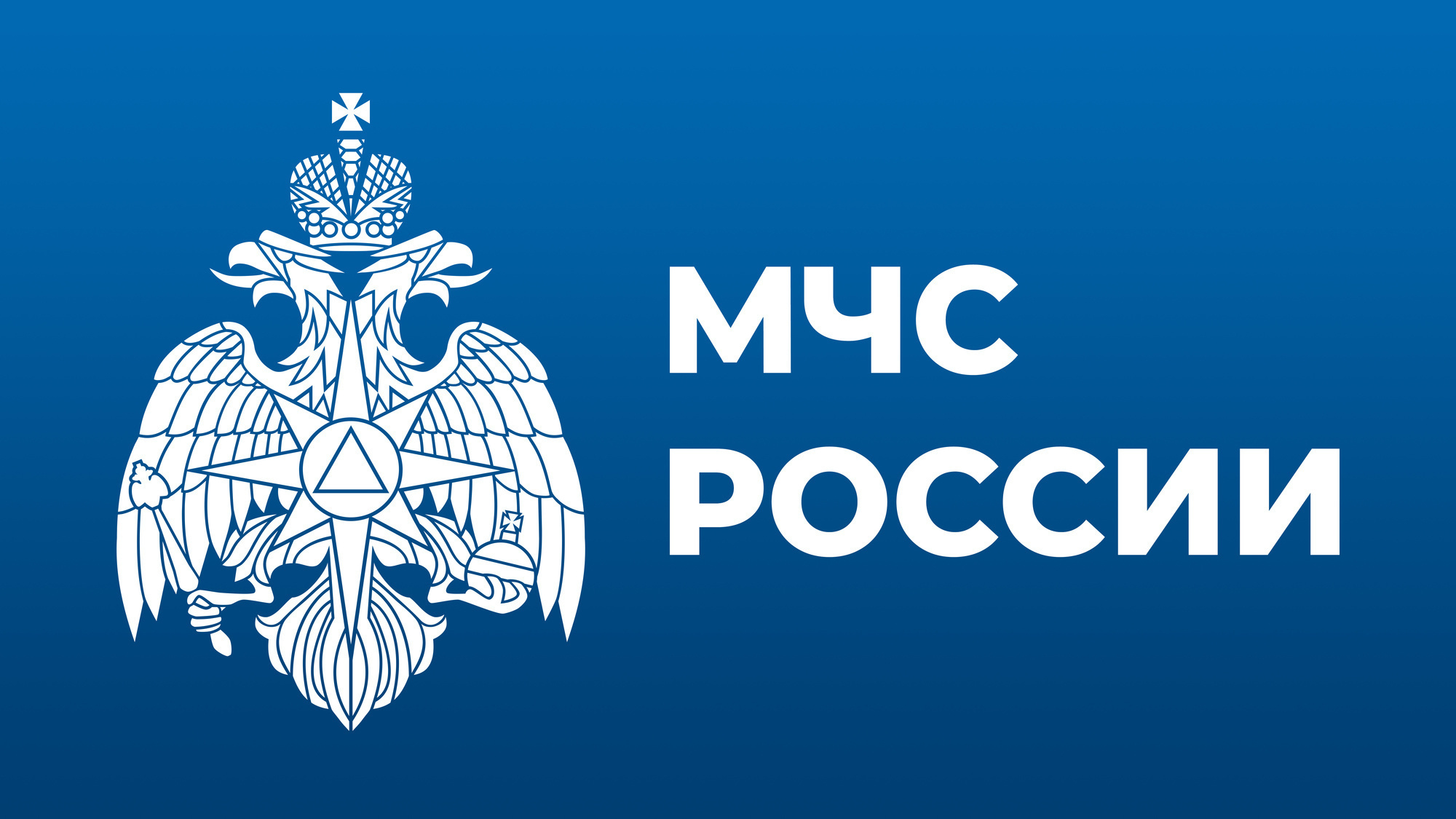МЧС России за 2024 год.